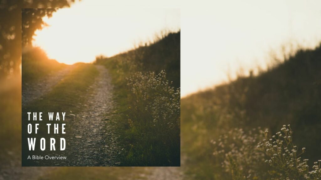 The way of the word | Part 5 | 03 March 2024